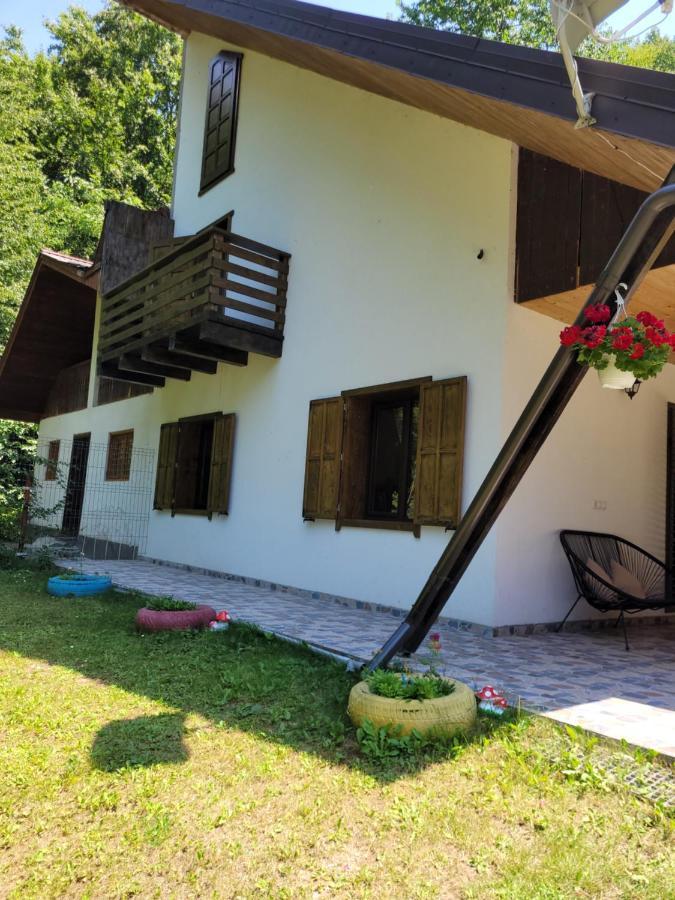 Cabana Praid Vila Exterior foto